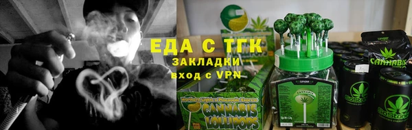 мдпв Новозыбков