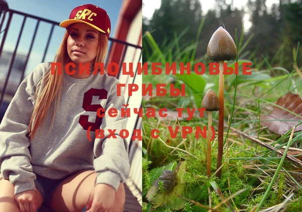 мдпв Нягань