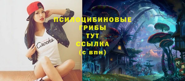 мдпв Нягань