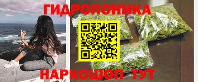 метадон Аргун