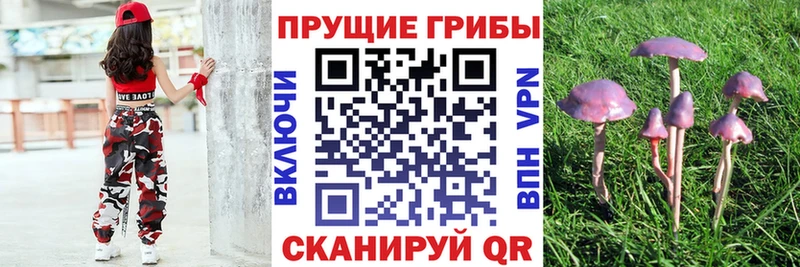 Галлюциногенные грибы MAGIC MUSHROOMS Рославль