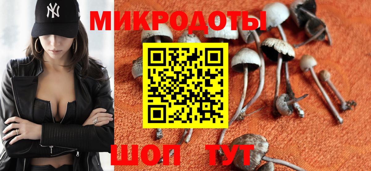 Псилоцибиновые грибы Psilocybine cubensis  Рославль 