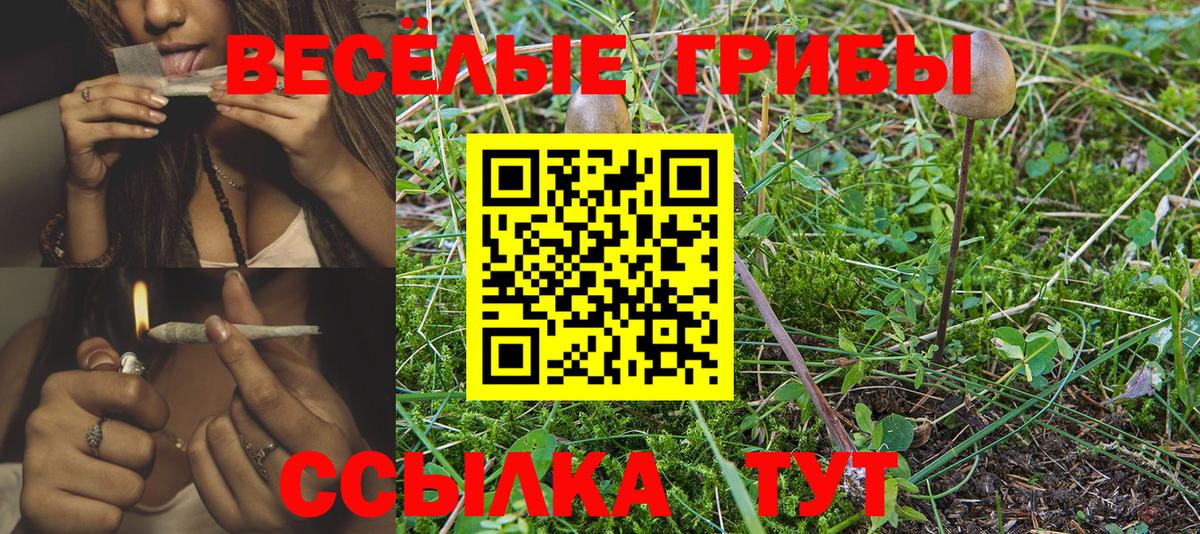 Рославль  Псилоцибиновые грибы ЛСД  Псилоцибиновые грибы Psilocybine cubensis  Вход с VPN 