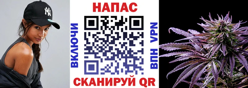 где найти   Рославль  Шишки марихуана план 
